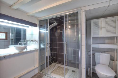 ein Bad mit einer Dusche, einem WC und einem Waschbecken in der Unterkunft Crazy Villa Margotterie 58 - Heated pool - 2h from Paris - 30p in La Celle-sur-Loire