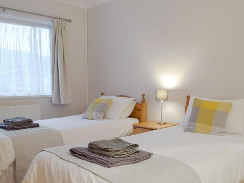 Duas camas num quarto branco com uma janela em Rosevene em Cardigan