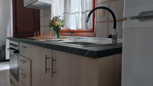 a kitchen with a sink and a vase of flowers at Alexandra Apartments in Skala Fourkas