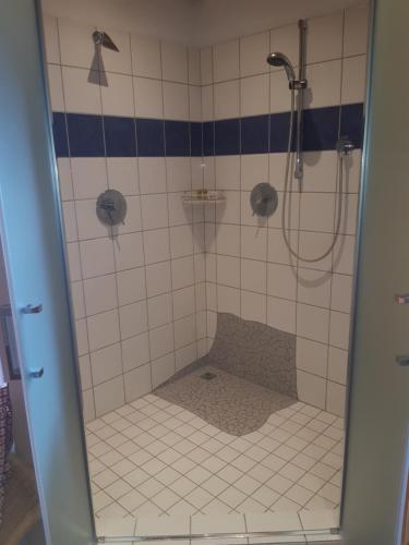 a bathroom with a shower with a tiled floor at Sonnleit'n Zimmer in Abtenau