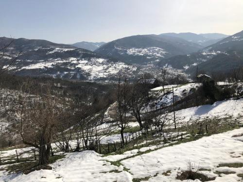 a snow covered hill with trees and mountains at Tarihi Karadeniz Evi in Ayancık