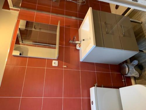 アンスにあるchambre indépendante chez particuliers avec salle de bain privativeのバスルーム(洗面台、鏡、トイレ付)