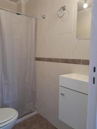 a bathroom with a toilet and a shower and a sink at Matices in Gualeguaychú