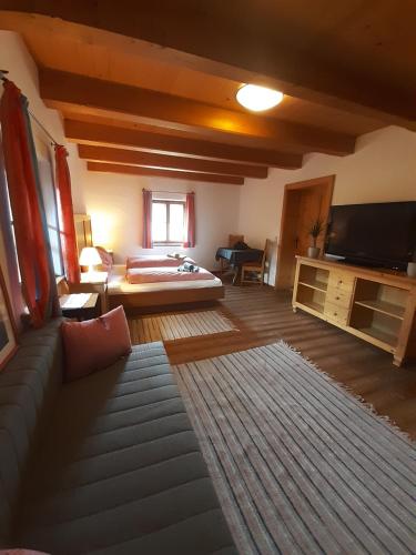 a large living room with a bed and a television at Sonnleit'n Zimmer 1 in Abtenau