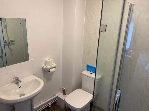a bathroom with a sink and a toilet and a shower at The Coach House - Hw7593 in Bettws-yn-Rhôs