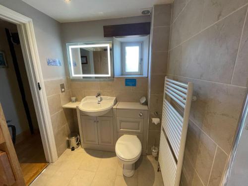 a bathroom with a toilet and a sink and a mirror at La Caleche in Cirencester
