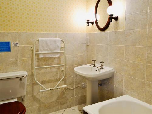 La salle de bains est pourvue d'un lavabo, de toilettes et d'un miroir. dans l'établissement Primula Patch-mjc, à Akeld