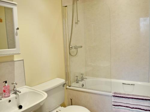 a bathroom with a shower and a toilet and a sink at Waulkmill Cottage in Carronbridge