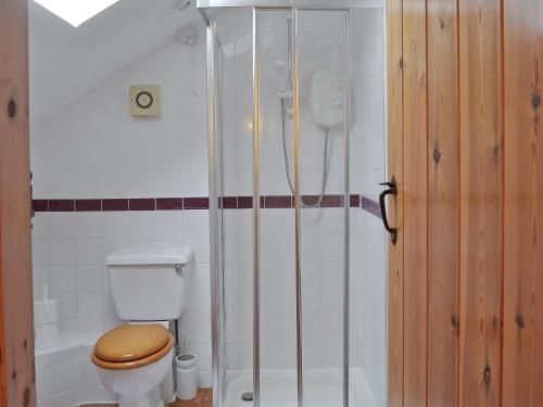 a bathroom with a toilet and a shower at Robins Nest in Cromford