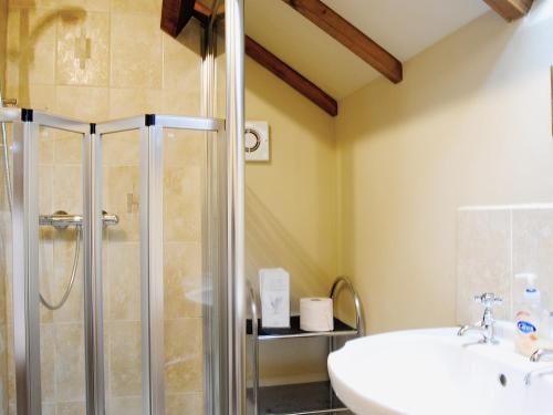 a bathroom with a shower and a sink at Cefn Colwyn Barn - 28198 in Trefeglwys