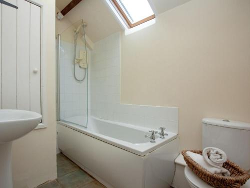 a bathroom with a shower and a sink and a toilet at Swallows Swoop - Tbf in Crackington Haven