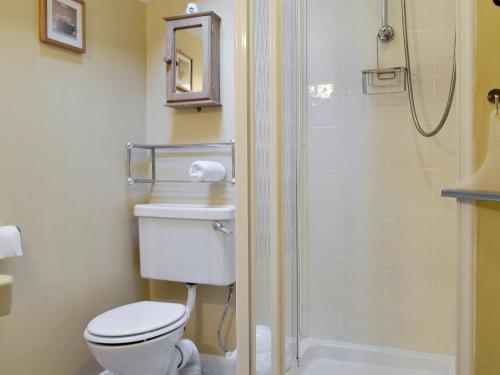 a bathroom with a toilet and a shower at 4 Tan Y Bryn Terrace in Prenteg