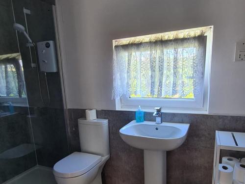 a bathroom with a toilet and a sink and a window at Beck Cottage in Colby