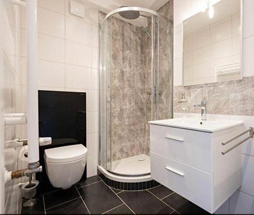 a bathroom with a shower and a toilet and a sink at Esch/Alzette city apartment in Esch-sur-Alzette