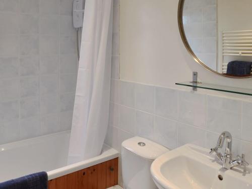 Saint Keverne的住宿－Chynoweth，一间带卫生间、水槽和镜子的浴室