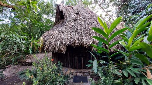 una pequeña cabaña con techo de paja en un bosque en Auroa Palomino, en Palomino