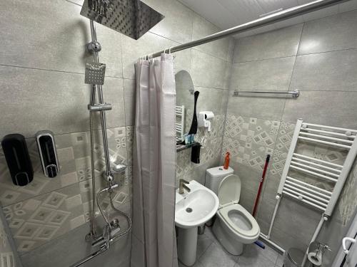 a bathroom with a shower and a toilet and a sink at Hotel Elit in Ninotsminda