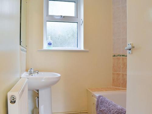 a bathroom with a sink and a window at Little Blagdon Bungalow in North Tamerton