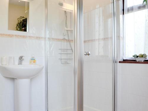 a bathroom with a shower and a sink at Rose Cottage in Cheriton Bishop