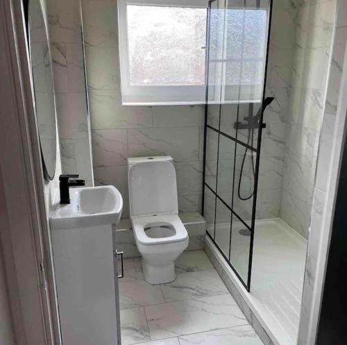 a bathroom with a toilet and a shower and a sink at Stunning Central Apartment With Free Parking in Sheffield