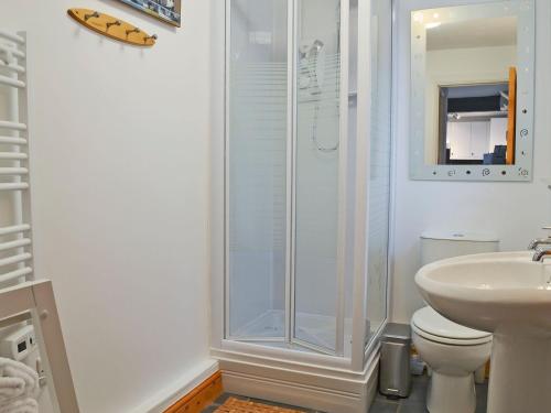 a bathroom with a shower and a toilet and a sink at Birdsong Cottage in Hartland