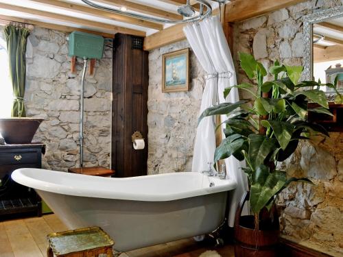 a bath tub in a bathroom with a plant at Hen Wrych Hall Tower in Abergele