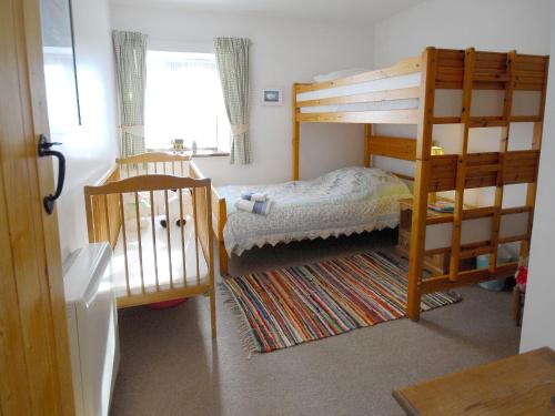 a bedroom with two bunk beds and a ladder at Robins Nest in Trevilley