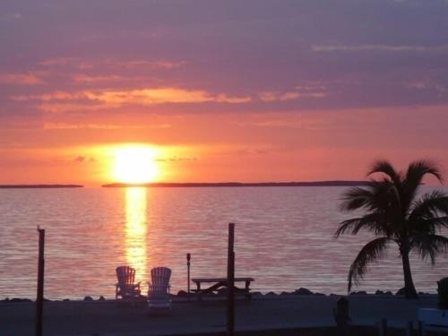 a sunset on the beach with a palm tree and the ocean at Islamorada Paradise Overlooking the Fabulous Florida Bay. in Tavernier