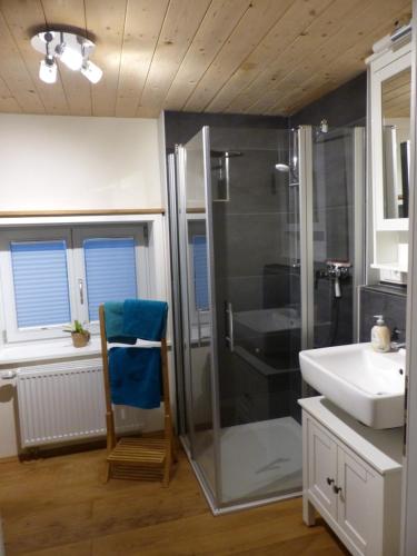 a bathroom with a shower and a sink at Ferienwohnung Schindewolf in Grebenstein