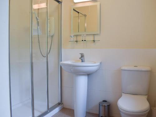 La salle de bains est pourvue de toilettes, d'un lavabo et d'une douche. dans l'établissement Glebe Cottage, à New Scone