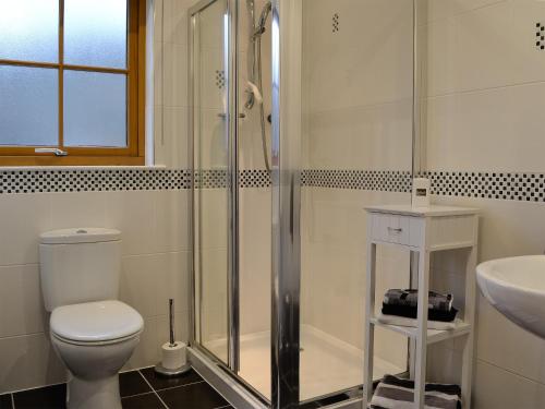 a bathroom with a toilet and a shower and a sink at Taigh Seonaig in Glencoe