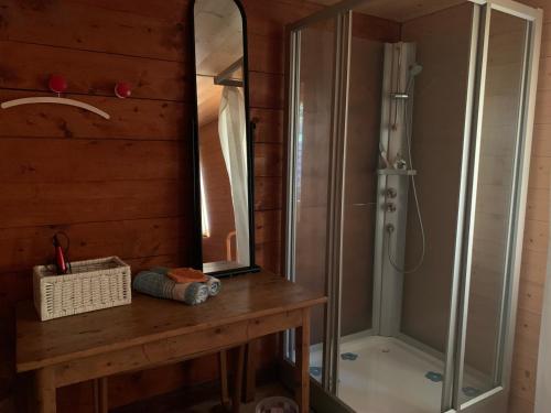 a bathroom with a shower and a vanity with a mirror at La Cure de Vernamiège in Vernamiège