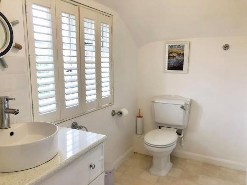 a white bathroom with a toilet and a sink at Laurel Cottage in Stoke Gabriel