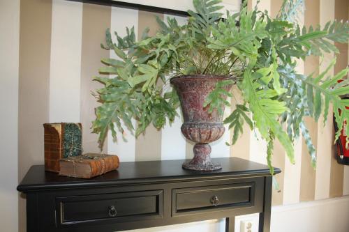 a vase sitting on top of a table with a plant at Borregården Bed & Breakfast in Borrby