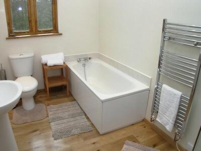 Bearsted的住宿－馬厩鄉村別墅，带浴缸、卫生间和盥洗盆的浴室