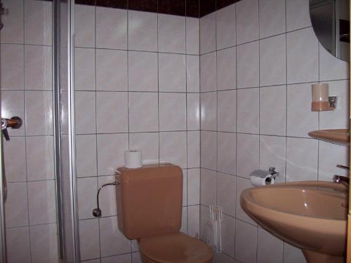 a bathroom with a toilet and a sink at Hotel Dreilaenderblick in Ouren