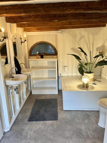 a bathroom with a sink and a toilet and a plant at Hoeve de Knol in Holthees