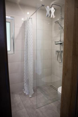 a bathroom with a shower with a glass door at Domek Pierwiosnek Ustroń - cisza, las, balia i totalny relaks - Ucieknij od zgiełku i poczuj spokój natury in Ustroń