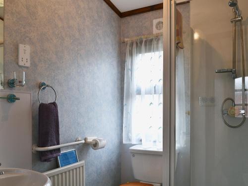 a bathroom with a sink and a toilet and a window at Rosella in Bridekirk