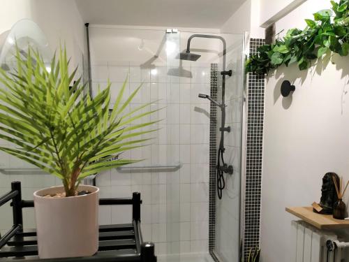 a bathroom with a shower and a potted plant at Coste Investissement - Le petit Catalan in Marseille