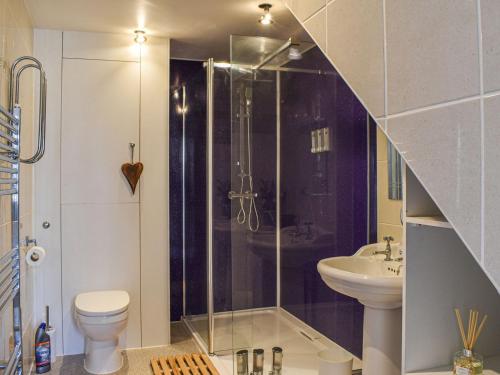 a bathroom with a shower and a toilet and a sink at Leighwood in Sandwich