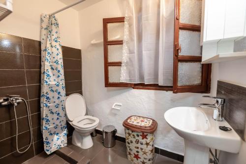 a small bathroom with a toilet and a sink at Ftieni Traditional House in Afantou