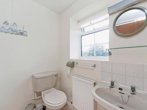 a bathroom with a toilet and a sink and a mirror at Peartree Farm Cottages - Rchm39 in Ebberston