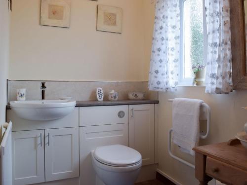 a bathroom with a toilet and a sink and a window at Lower Mill Barn in Nantgaredig