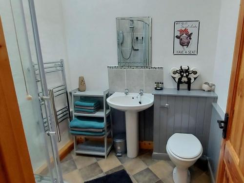 a bathroom with a sink and a toilet and a mirror at Hooked Rise Holiday Lodge in Dunkeswell