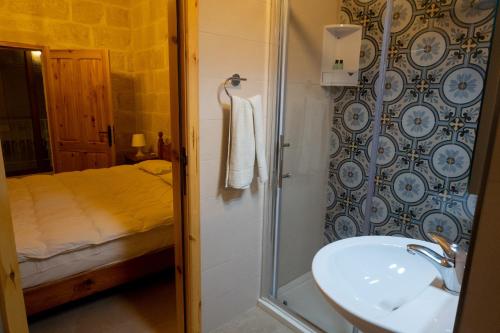 ein Bad mit einem Waschbecken, einer Dusche und einem Bett in der Unterkunft Naduri Holiday Home in Taʼ Gorgun
