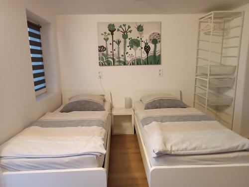 two beds in a room with a picture on the wall at Holzhaus Fechheim in Neustadt bei Coburg