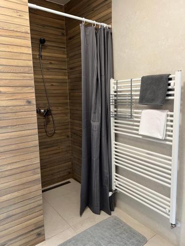 a shower with a shower curtain in a bathroom at Hatvan Central Apartment in Debrecen