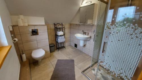 La salle de bains est pourvue de toilettes, d'un lavabo et d'une douche. dans l'établissement Orle Gniazdo, à Kamienna Góra