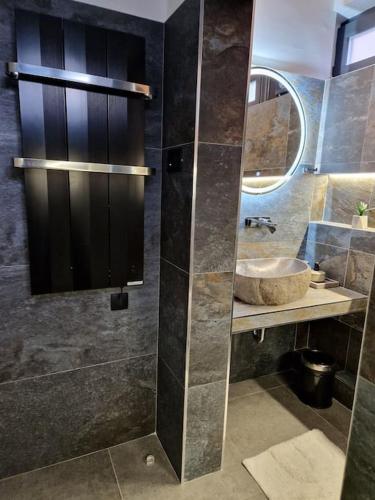 a bathroom with a shower with a sink and a mirror at Biblioteka Spa Suite in Novi Beograd